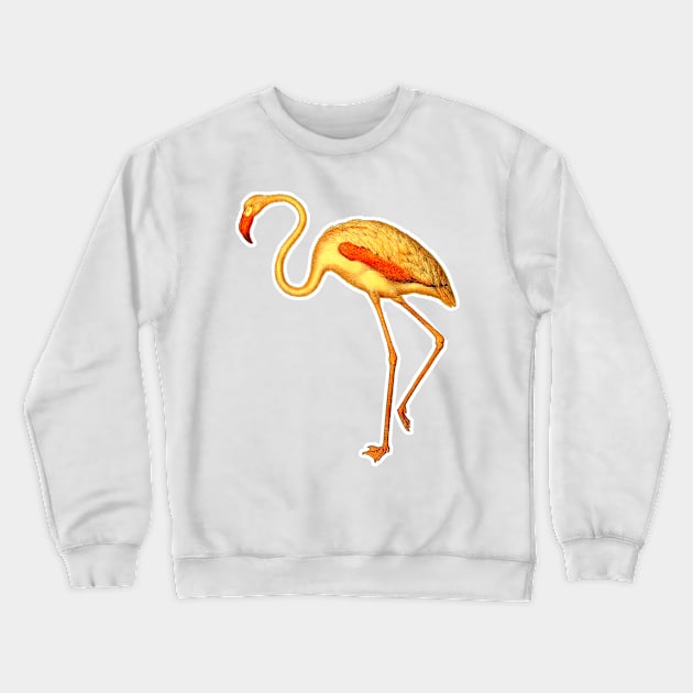 Flamingo Crewneck Sweatshirt by Marccelus